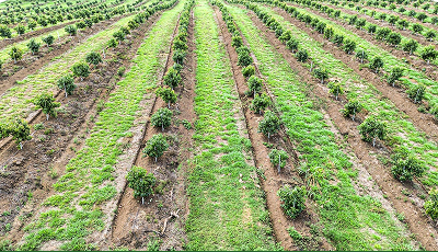 Participación en Feria Nacional Agropecuaria