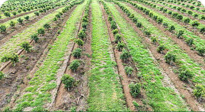 Participación en Feria Nacional Agropecuaria