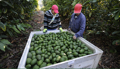 Participación en Feria Nacional Agropecuaria