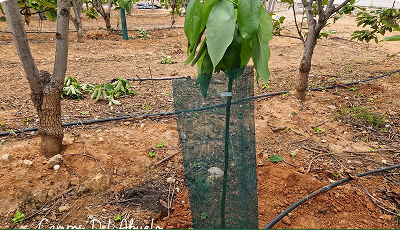 Participación en Feria Nacional Agropecuaria