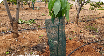 Participación en Feria Nacional Agropecuaria