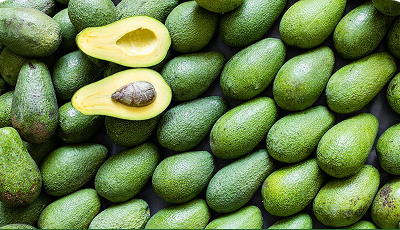 Participación en Feria Nacional Agropecuaria