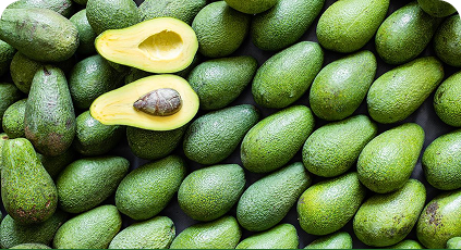 Participación en Feria Nacional Agropecuaria