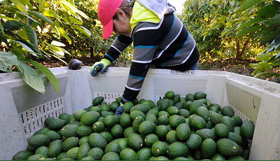 Participación en Feria Nacional Agropecuaria
