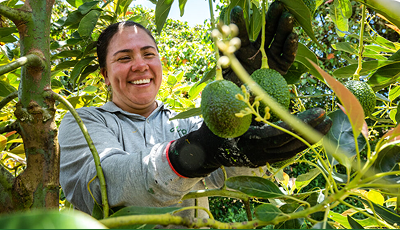 Participación en Feria Nacional Agropecuaria