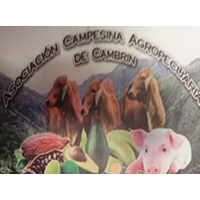 ACAC