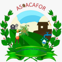 ASOACAFOR