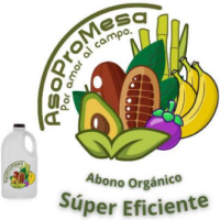 ASOPROMESA